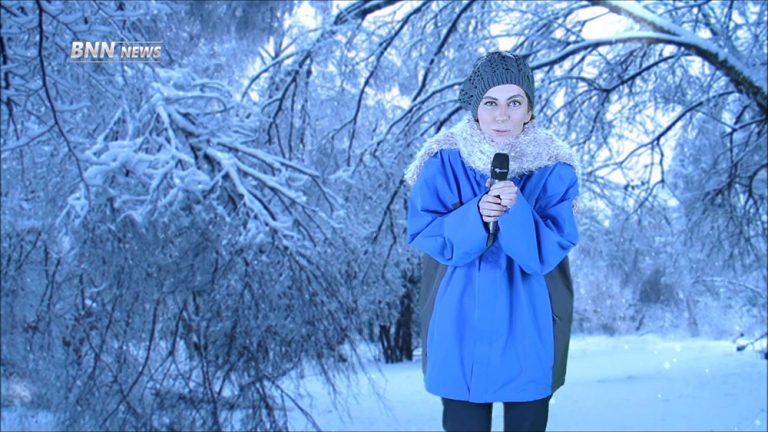 Creative Content Development